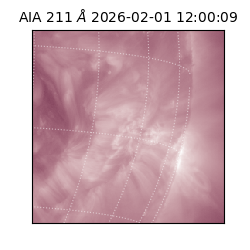 saia - 2026-02-01T12:00:09.633000