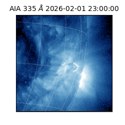 saia - 2026-02-01T23:00:00.637000