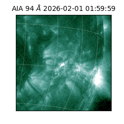 saia - 2026-02-01T01:59:59.141000