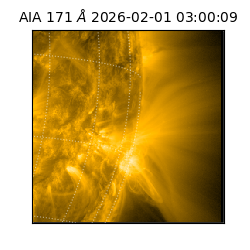 saia - 2026-02-01T03:00:09.350000