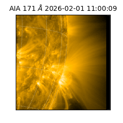 saia - 2026-02-01T11:00:09.352000