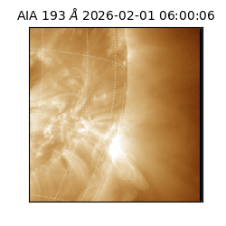 saia - 2026-02-01T06:00:06.616000