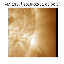 saia - 2026-02-01T08:00:04.835000