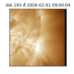 saia - 2026-02-01T09:00:04.843000