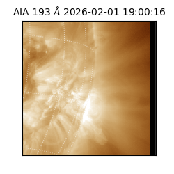 saia - 2026-02-01T19:00:16.843000