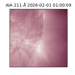 saia - 2026-02-01T01:00:09.624000