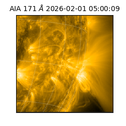 saia - 2026-02-01T05:00:09.350000