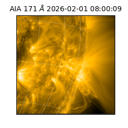 saia - 2026-02-01T08:00:09.342000