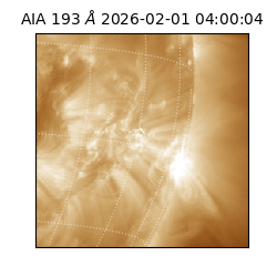 saia - 2026-02-01T04:00:04.843000