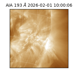 saia - 2026-02-01T10:00:06.939000