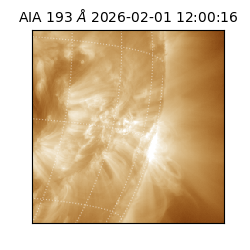 saia - 2026-02-01T12:00:16.835000