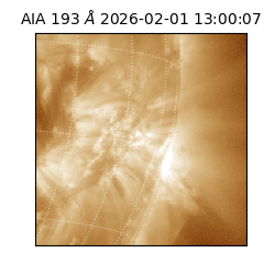 saia - 2026-02-01T13:00:07.367000