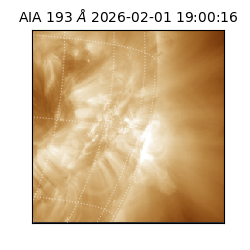 saia - 2026-02-01T19:00:16.843000