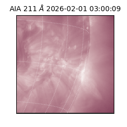 saia - 2026-02-01T03:00:09.637000