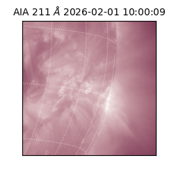 saia - 2026-02-01T10:00:09.622000