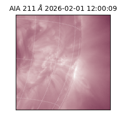 saia - 2026-02-01T12:00:09.633000