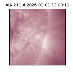 saia - 2026-02-01T13:00:11.615000