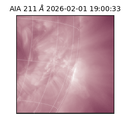 saia - 2026-02-01T19:00:33.626000