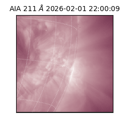 saia - 2026-02-01T22:00:09.625000