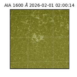 saia - 2026-02-01T02:00:14.126000