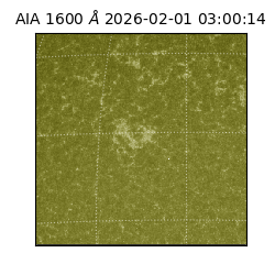 saia - 2026-02-01T03:00:14.125000