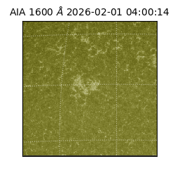 saia - 2026-02-01T04:00:14.125000