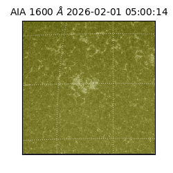 saia - 2026-02-01T05:00:14.125000