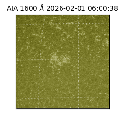 saia - 2026-02-01T06:00:38.125000