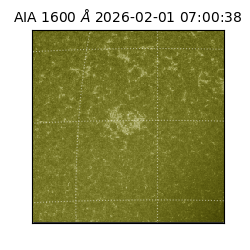 saia - 2026-02-01T07:00:38.125000