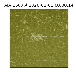 saia - 2026-02-01T08:00:14.118000