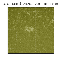 saia - 2026-02-01T10:00:38.125000