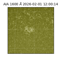 saia - 2026-02-01T12:00:14.125000