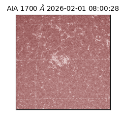 saia - 2026-02-01T08:00:28.710000