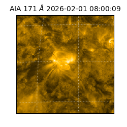 saia - 2026-02-01T08:00:09.342000