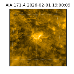 saia - 2026-02-01T19:00:09.352000