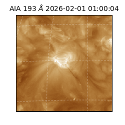 saia - 2026-02-01T01:00:04.843000