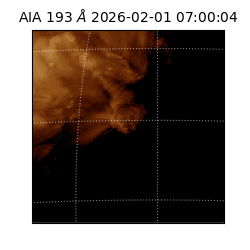 saia - 2026-02-01T07:00:04.843000