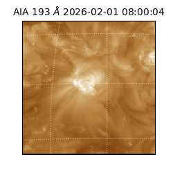 saia - 2026-02-01T08:00:04.835000