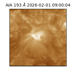 saia - 2026-02-01T09:00:04.843000