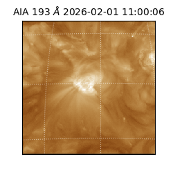 saia - 2026-02-01T11:00:06.614000