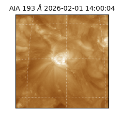 saia - 2026-02-01T14:00:04.843000