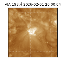 saia - 2026-02-01T20:00:04.843000