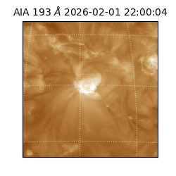 saia - 2026-02-01T22:00:04.843000