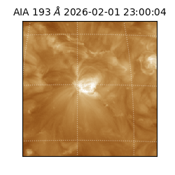 saia - 2026-02-01T23:00:04.843000