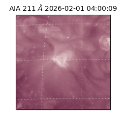 saia - 2026-02-01T04:00:09.633000