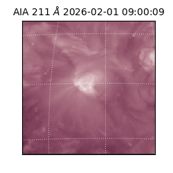 saia - 2026-02-01T09:00:09.626000