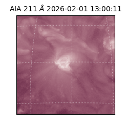 saia - 2026-02-01T13:00:11.615000