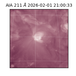 saia - 2026-02-01T21:00:33.622000