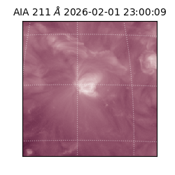 saia - 2026-02-01T23:00:09.633000