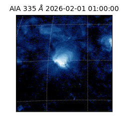 saia - 2026-02-01T01:00:00.623000